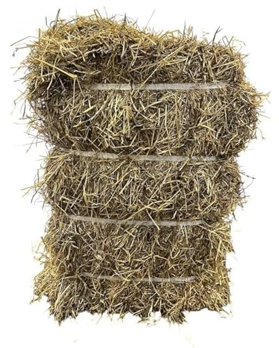 Fearns Farm Premium 12.5kg Banded Hay Bale – Dust Extracted First Cut Timothy & Ryegrass Mix – High Fibre Hay for Rabbits, Guinea Pigs, Horses & Alpacas – British Grown, Eco-Friendly & Natural