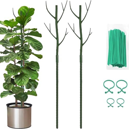 Vocray Plant Support Stakes for Indoor Plants,Trellis for House Potted Plants Flower,Monstera Support Sticks with Orchid Clips,Twist Ties(2 Pack Green)