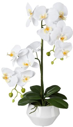 CREATIV green stilvolle Phalaenopsis Kunstorchidee 52cm in weiß I künstliche Orchideen wie echt mit weißem Keramik-Topf & naturgetreuen Blüten I Real Touch täuschend echte Kunstblumen