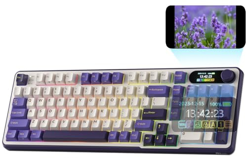 RK ROYAL KLUDGE S98 Mechanische Tastatur mit Smart Display & Knopf, Top Mount 96% Kabellose Mechanische Tastatur BT/2.4G/USB-C, Hot-Swap-fähige, Software, Massiver Akku, 98 Tasten, QWERTY