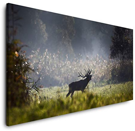 Hirsch im Wald 120x 60cm Panorama Leinwand Bild XXL Format Wandbilder Wohnzimmer Wohnung Deko Kunstdrucke
