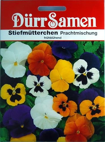 Stiefmütterchen Samen Prachtmischung Stiefmütterchensamen Veilchen ca 120 Korn Saatgut Blumensamen Garten Hochbeet Balkonkasten Kübel Dürr Samen
