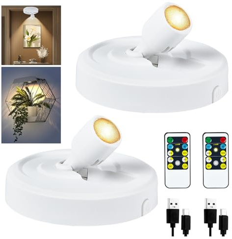 2 focos LED inalámbricos, recargables, recargables, funciona con pilas, luz de imagen con mando a distancia, temporizador, foco de pared interior para iluminación de imágenes, iluminación de plantas