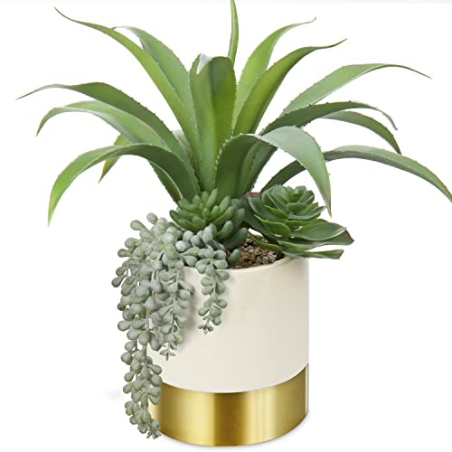 Hollyone 30 cm Planta Decorativa suculenta Artificial en Maceta de cerámica, Plantas de Aloe, Plantas suculentas Artificiales en Maceta, Plantas Decorativas suculentas Artificiales para el hogar