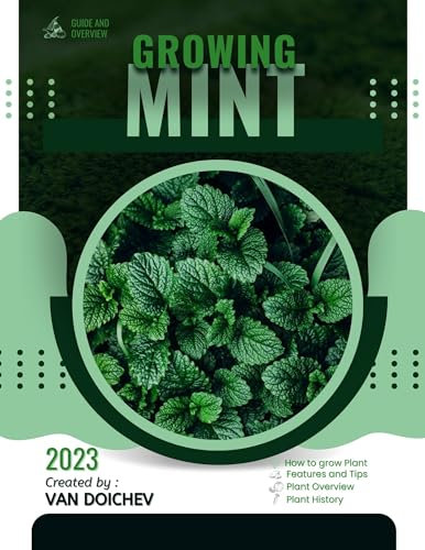 Mint: Guide and overview