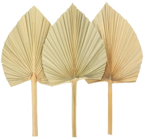TOPPERFUN Hojas De Palma Secas Decorativas Abanico Natural para Decoración De Bodas y Fiestas Tamaño Grande para Arreglos y Decoración De Pared 3 Unidades