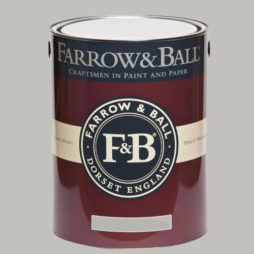 FARROW & BALL FLAT EGGSHELL 242 PAVILION GRAY 5L