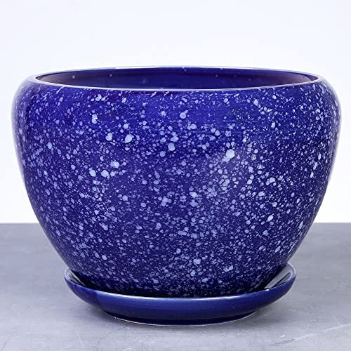 BUNCC Cerámica Pavo Real Azul Extra Grande Estilo Chino Maceta Estilo Chino Verde Dillia Maceta Planta Maceta Cactus Contenedores Jardín Maceta Balcón Mesa Decoración Adornos Artesanía