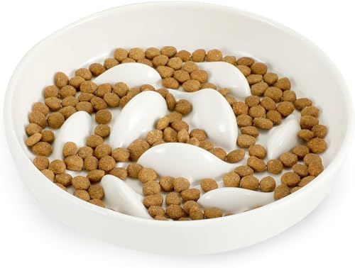 Gamelle Anti Glouton Chat en Ceramique Gamelle Anti Glouton Chat Blanc ou Vert avec Surélevée Gamelle Anti Glouton pour Chat Chien Prévenir Vomissements Indigestion Obésité (Blanc)
