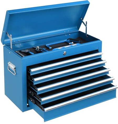 Winado 24 Portable Tool Box, 5 Drawer Tool Chest with Carry Handle, Top Case, Ball Bearing Runners, Lockable Metal Hand Toolbox for Garage, Warehouse, Repair Shop & Home, Blue