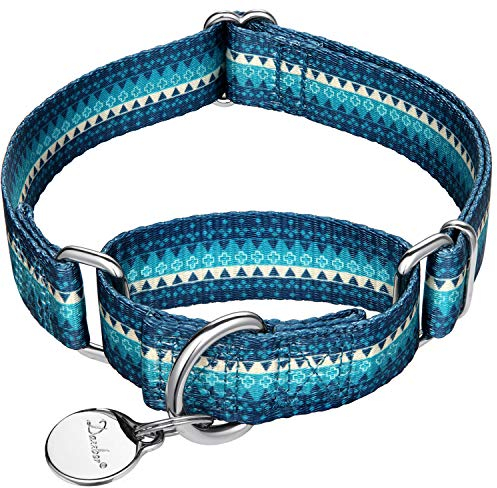 Dazzber hundhalsband stora hundar, turkosgrön, stor 43 cm – 64 cm, halvt choke-halsband utan kedja, starkt och anti-drag hundhalsband för träning promenader