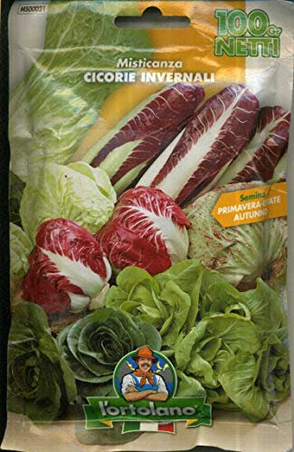 SEMENTI DI ORTAGGI DI QUALITA' IN CONFEZIONI DA 100 GRAMMI E SUPERIORI (MISTICANZA MISTO CICORIE INVERNALI, 100 grammi)