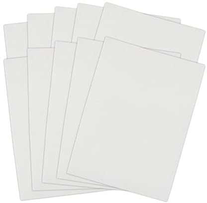 DEARMAMY Pack de 10 Pieles de Práctica para Tatuaje - Piel Sintética Flexible de Doble Cara - Grosor Ideal para Principiantes y Tatuadores Profesionales - Suministros para Microblading y Tatuajes