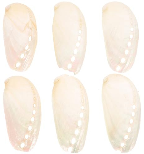 MAGICLULU 6 Pièces de Coquilles D'ormeau Naturelles Style Plage 4 à 6cm Artisanat Coquillage Décoratif Décoration de Mariage pour Maison et Occasions Diverses
