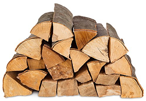 100kg (4x25kg) Brennholz & 100 Bioanzünder - Kaminholz 100% Buchenholz Feuerholz 25cm - kammergetrocknet, ofenfertig und einsatzbereit + 100 Stück Anzünder