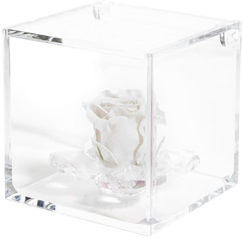 Debora Carlucci Rosa Stabilizzata Vera Eterna con 4 Petali in Cubo 8x8 cm Idea Regalo Festa della Mamma Donna Bomboniera Compleanno Anniversario Matrimonio Blu Bianco Rosa Rossa (Panna)