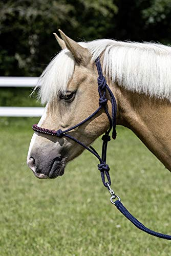 USG Knotenhalfter, marine, shetty/pony