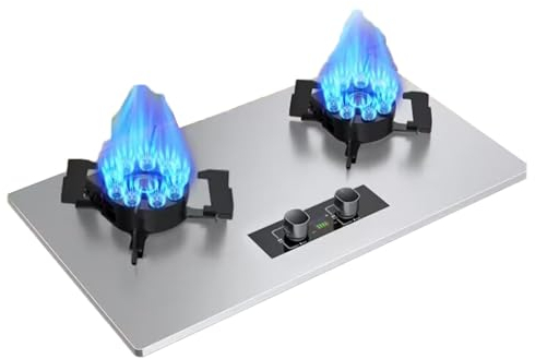 Propane Stove,Double Burner Portable Propane Stove,Stainless Steel Gas Cooktop Maximum 17060BTU Suitable for Kitchen RV and Apartments (Color : LPG, Size : Style 3)