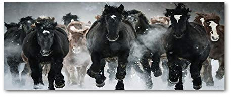 Tulup Leinwandbild - Wandkunst - Drucke auf Leinwand - Leinwanddruck -125x50 cm - Tiere - Schwarz - Pferde im Galopp