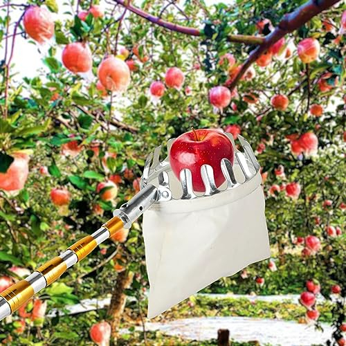 LekLai Obstpflücker, Obstpflücker-Werkzeug, Obstgreifer Mit Leichter Teleskopstange Aus Alumiund Korb, Obstpflückerkopf Aus Baumwollbeutel Für Apfel, Orange, Pfirsich, Birne/700Cm/275.6In