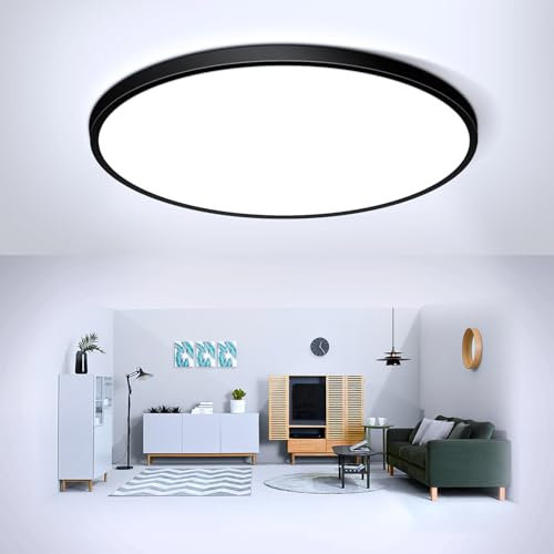 24W Black LED Flush Mount Ceiling Light, 6500K Daylight White Bathroom Light, 2000LM, Flat Modern Round Lighting, 240W Equivalent White Ceiling Lamp for Kitchens, Hallway, Bedrooms.etc. 10.6in/27cm