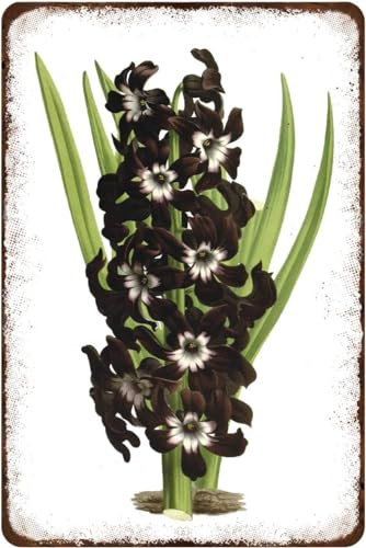 Rustikales Retro-Metall-Blechschild, schöne Hyazinthen, Frühlingsblumen, Vintage-Bouquet, Heimdekoration, Blume, Wandkunst für Büro, Zuhause, Klassenzimmer, Dekoration, Geschenke, bester Geburtstag,