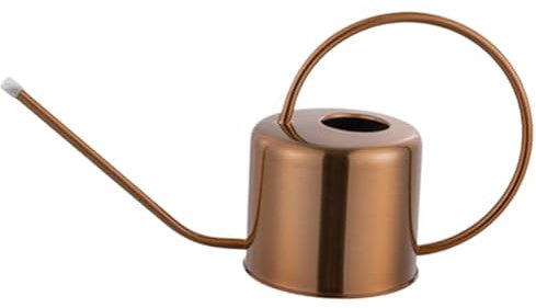 Arrosoir pour, arrosoir en Acier Inoxydable – Arrosoir en métal avec Long Bec pour éviter Les déversements, arrosoir Parfait pour, arrosoir Vintage en Bleu Clair – Bidon en Acier galva
