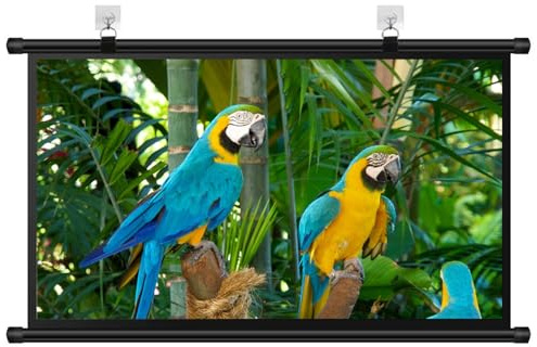 Manual Pull Down Projection Screen 30 40 50 60 72 Wall Mounted Projector Screen 4K HD Movie Screen for Home Office Outdoor Indoor Anti Crease Easy Roll Up(50 Inch (16:9))