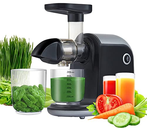 CRBUDY Spremiagrumi Professionale a coclea da 80 Giri/min, estrattore di Succo a masticazione lenta, estrattore di Succo a Bassa velocità per Frutta e Verdura, spremiagrumi a Freddo