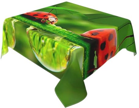AUBKFELD Lustige Tischdecke mit Marienkäfer mit Regenschirmen, bedruckt, quadratisch, 137 x 137 cm, Feiertagstischdecke, Stoff-Tischdecke, dekorativ für Picknick, Küche, Esszimmer, Party