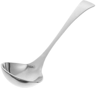 TOKIDNY 2pcs Stainless Steel Spoon Ladle for Sauce Gravy Serving Mini Cocktail Ice Ladle Long Handle for Table Kitchen Use