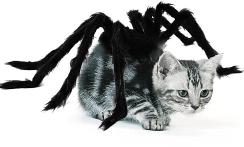 Spinne Kostüm für Katzen - Kreative Haustierkleidung - Lustige Hundebekleidung Horror Halloween Kostüm für Katzen Welpen