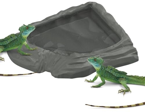 Sköldpaddsmat Skål Platsbesparande | Ormmatningsbassäng för Sköldpadda, Skäggagam, Gecko, Orm, Habitat, Akvarium, Terrarium, Tank, Utomhus
