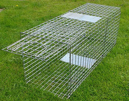 GDK 44 LARGE FOLDING FOX TRAP, HUMANE FOX TRAP, PEST CONTROL
