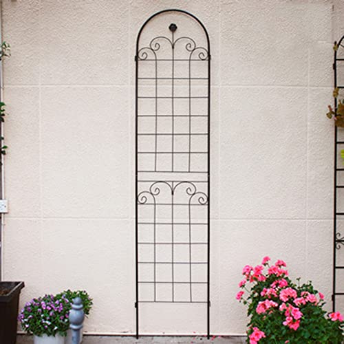 Beetzaun Beeteinfassung zum Stecken Beetbegrenzung Rankhilfe Gartenzaun Rankgitter Garten Gartenstecker Gartenpfähle Rasenkanten Gartenzäune Pflanzenstützen für Gartendeko,Kletterpflanzen,Dekozaun
