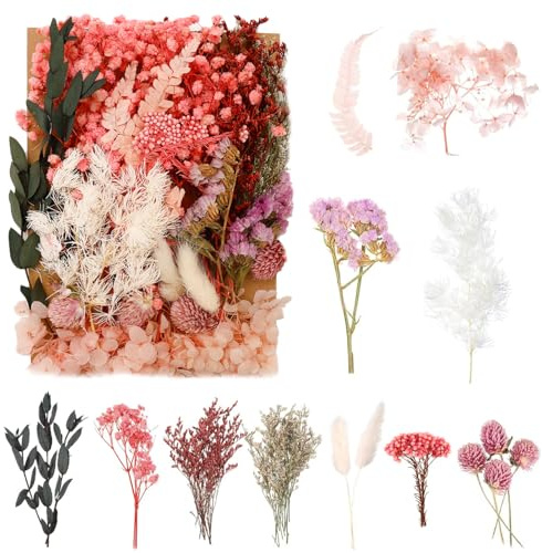 Natural Dried Flowers, Pressed Flowers Real Dried Pressed Flowers and Leaves Dried Flowers Set for Scrapbooking DIY Candle Resin Jewelry Crafts Card Making (Multicolor 2)