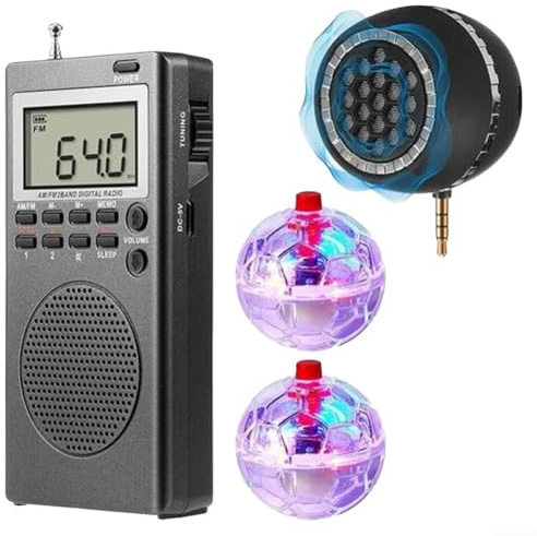 ZAMETTER Ricevitore Radio Portatile Mini Pocket Radio Digitale Portatile Radio Con Design Elegante Facile Da Usare Mini Formato Tascabile Suono Chiaro Per Musica E Notizie