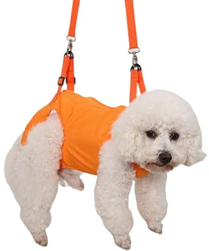 Hundetragesling - Einstellbarer Tragegurt Mit Beinunterstützung - Atmungsaktive Gehhilfe für Gehbehinderte Ältere beim Draußen
