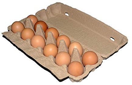 Eierboxen für 12 Eier – 20 Stück Karton biologisch abbaubar recycelte Zellstoffboxen, große Eier leere Aufbewahrung, hält 1 Dutzend frische Eier Behälter für Küche, Bauernhaus, Lebensmittelbedarf