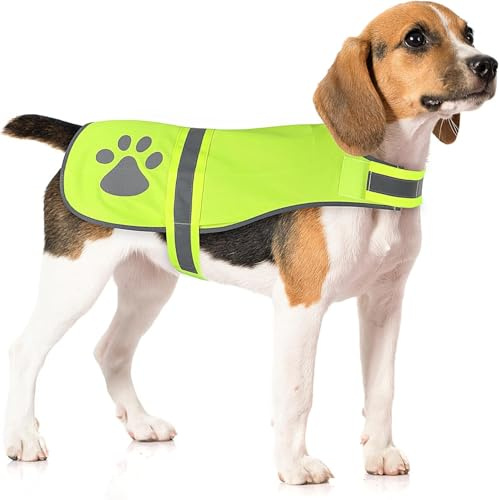 Gilet réfléchissant pour chien pour sécurité nocturne, gilet de chasse et de marche haute visibilité, léger et respirant, vert fluo, taille M