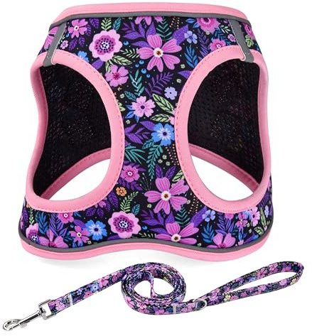 Mihqy Step in Dog Harness and Leash Set, Breathable Mesh, Pink Floral,XXS | Reflective, Adjustable No Pull Harnesses for Small Dogs Puppy and Cats, Lightweight Vest Harnesses, Fashion Floral Design