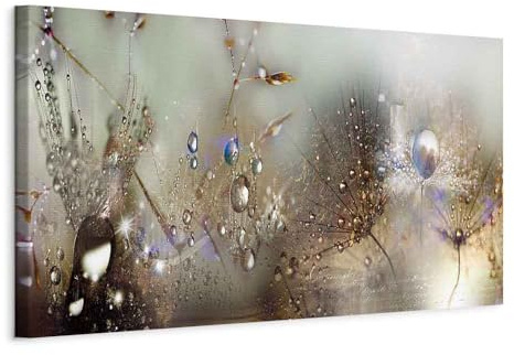 murando - Akustikbild Pusteblume Bilder Akustikschaum Hochleistungsschallabsorber Schallschutz Leinwand 1 tlg Wandbild Raumakustik Schalldämmung Blumen Natur grau b-C-0169-b-c