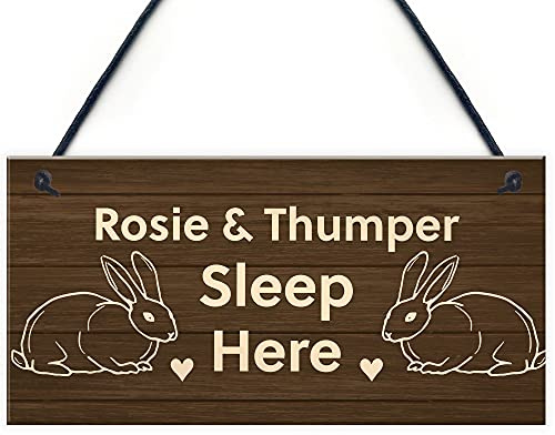 RED OCEAN Personalised Rabbit Sign Hanging Garden Sign Hutch Sign Home Gift