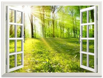 LXURY Fensterblick Leinwand Bilder-Offenem Fenster Landschaft Bild Druck auf Leinwand-Wandbilder Wandkunst für Wohnzimmer-Forest Tree Meadow Sunshine(3) 70x90cm28x35inch Ungerahmt