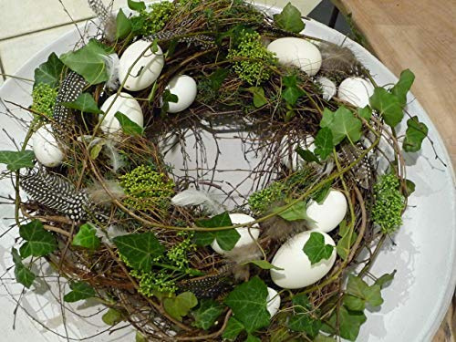 Unbekannt | Deko Kranz Osterkranz Frühlingskranz ca. 45 cm Durchmesser | Holz Braun Grün Weiß | Handarbeit aus Reutlingen | Frühling Ostern Osterdekoration