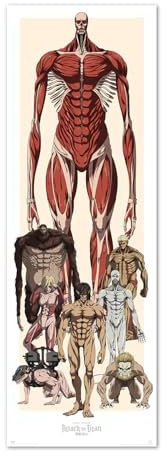 Grupo Erik Poster Türposter Attack On Titan Poster Covers Kunstdruck - Deko Wohnzimmer oder Deko Schlafzimmer - Deko Zimmer - Größe : 53 x 158 cm - Offizielle Attack On Titan Fanartikel