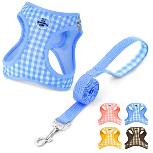 OFFCUP Arnés para Perro y Conjunto de Correa, Arnés Antitirones Reflectante Ajustable, Transpirable Malla Suave Arneses Chaleco para Perro Pequeños Gatos y Cachorros (Azul, S)