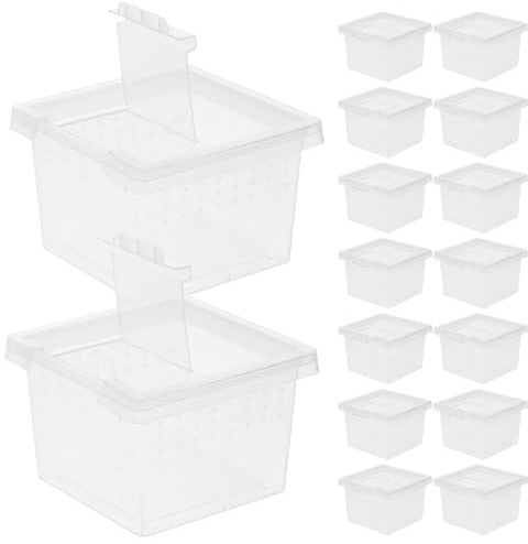 SHINEOFI 20stücke Insektenbeobachtungsbox Transparente Reptilien-Terrarium-Box Praktischer Futterbehälter für Insekten und Spinnen