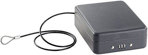 Xcase Mobiler Safe Urlaub: Mini-Stahl-Safe für Reise & Auto, Zahlenschloss, Sicherungskabel, 1 l (Mobiler Tresor, Reisesafe, Schlüsseltresor)