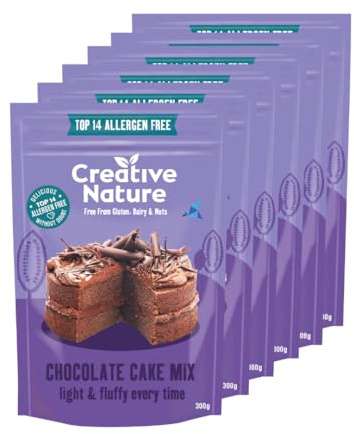 Gluten Free Cake Mix | Creative Nature Vegan Chocolate Baking Mix | Organic, Nut Free, Dairy Free | Top 14 Allergen Free | 6 Pack